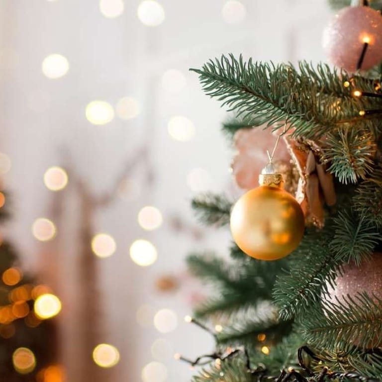 Now Booking - Holiday Season Celebrations!