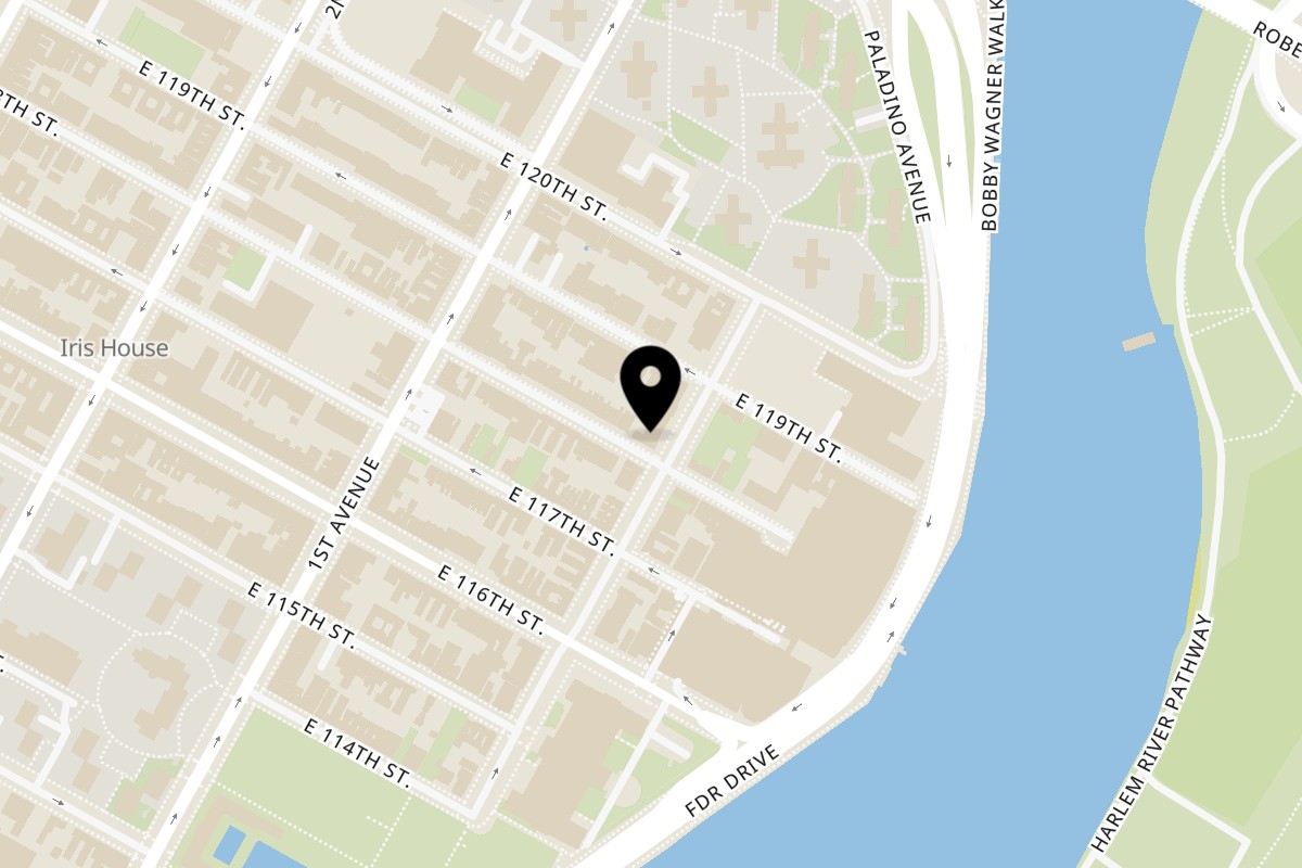 Map showing the location of Bistro Casa Azul on 343 Pleasant Ave in New York